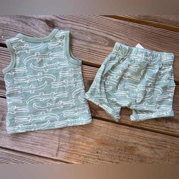 Carter’s 3-6M tank top and shorts outfit - Infant Baby - Picture 2 of 5